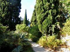 183 HYERES ET SES PALMIERS D01_000047